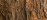 Close Up Ancient Tree Bark Hero