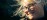 Practitioner Closeup Honouring Hero