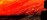 Practitioner Growth Composite Captioning Hero