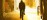 Practitioner silhouette moving through an outdoor garden