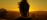 Practitioner Silhouette Exterior Sitting Hero