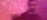 Research Practitioner Man Office Stride Chart Pink Hero