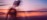 Research Practitioner Woman Dynamic Pose Data Pink Hero