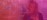 Research Practitioner Woman Hair Motion Chart Pink Hero
