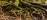 Roots Foundational Growth Autumn Hero
